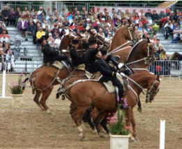 L'cole de Cavalerie en dmonstration