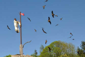 Le Bal des Oiseaux Fantmes